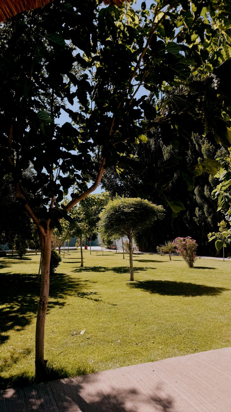 Doña Rosa Eventos